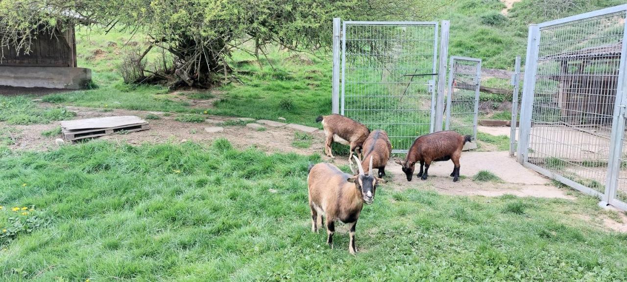 Ferienwohnung/Monteurzimmer Auf Dem Bauernhof Mörlenbach Buitenkant foto