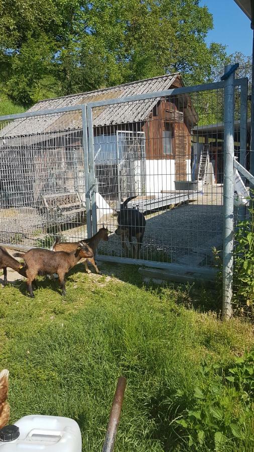 Ferienwohnung/Monteurzimmer Auf Dem Bauernhof Mörlenbach Buitenkant foto